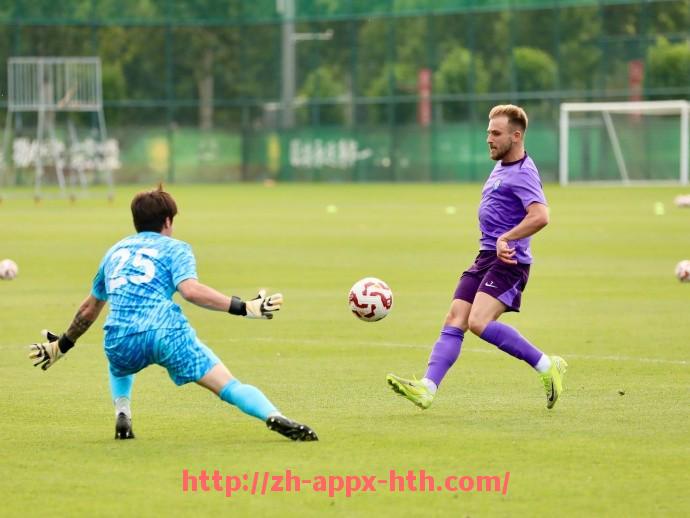 华体会hth官方网站下载-意甲赛季各球队进球纪录及进攻特点分析