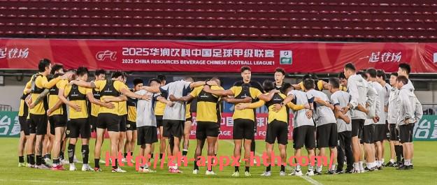 华体会hth官方网站下载-世俱杯比赛用球规定及其历史演变的详细分析